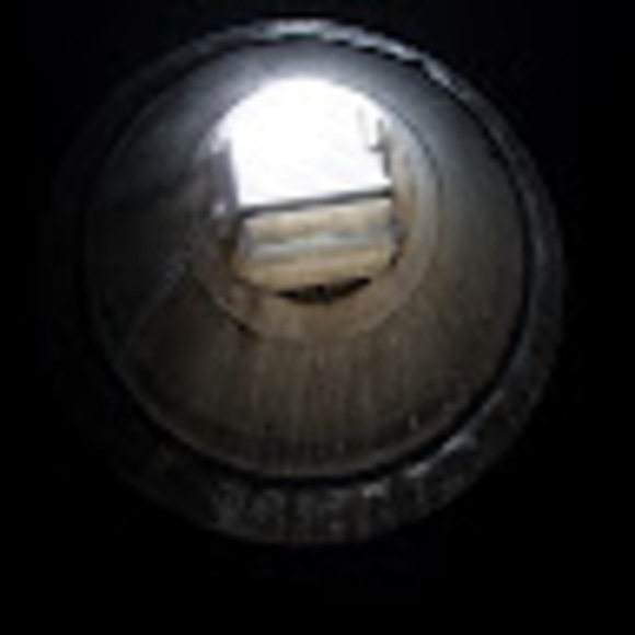 Meet your Posher, Heidi - Picture 1 of 1